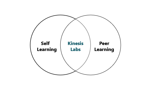 Kinesis Labs